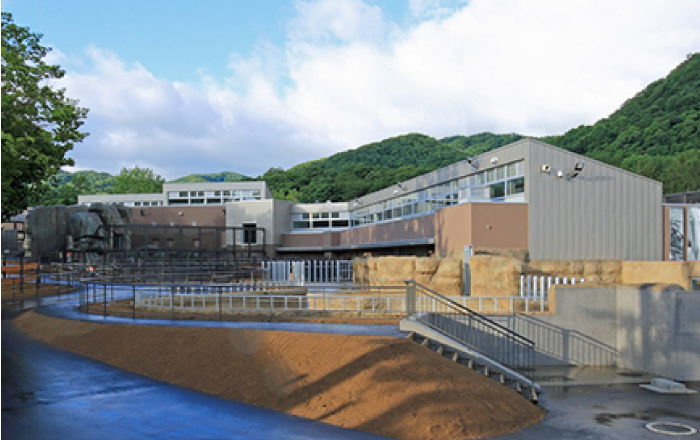 円山動物園 カバ・ライオン館（札幌市）